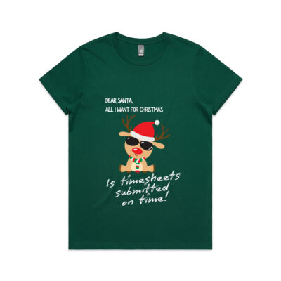 Dear Santa Payroll - Women's Tee Thumbnail